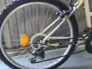 Bicicleta juvenil Number One