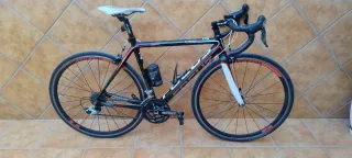 Bicicleta carretera carbono Focus Cayo