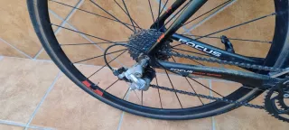 Bicicleta carretera carbono Focus Cayo