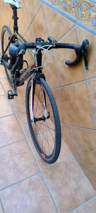 Bicicleta carretera carbono Focus Cayo