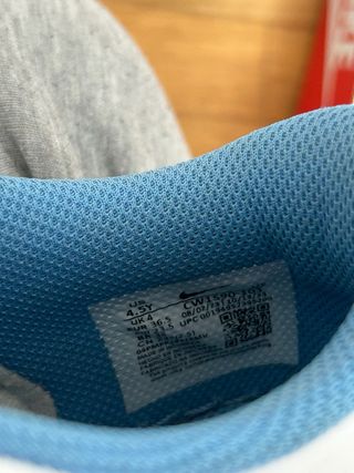 Nike Dunk Azules y Blancas Originales