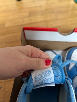 Nike Dunk Azules y Blancas Originales