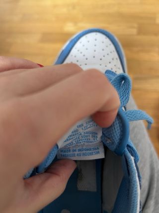 Nike Dunk Azules y Blancas Originales