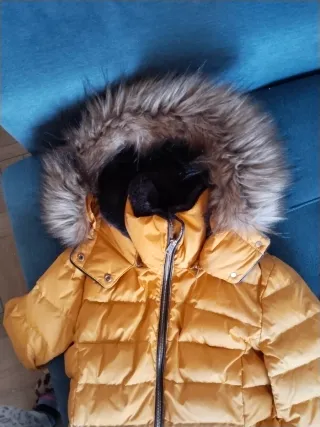 Chaqueta Zara Amarilla Talla XS con Capucha