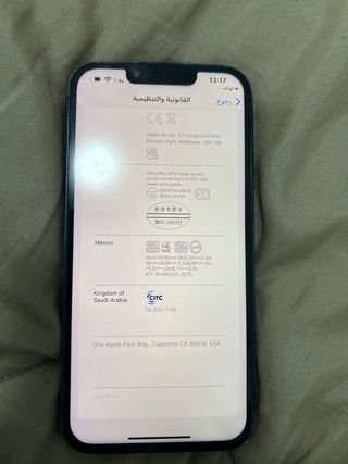 iPhone 13 Pro Max 256GB