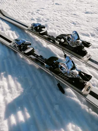 Esquís VIST Alta Gama