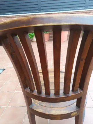 Sedia in teak massiccio di viva import