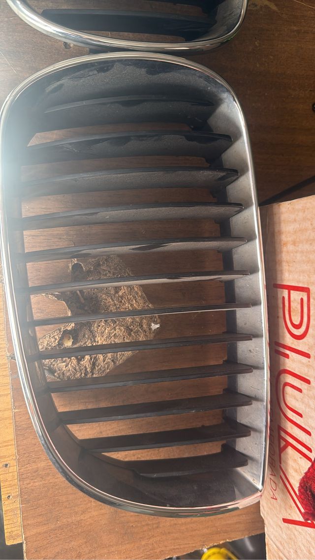 Riñones BMW Cromados