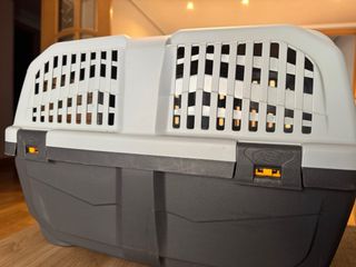 Transportín para perros, raza pequeña.