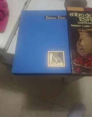 El libro de la cocina española