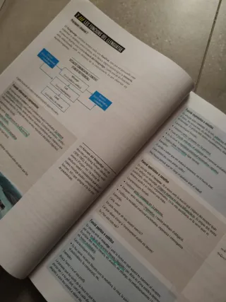 Llengua catalana i literatura 4t Secundària Lli...