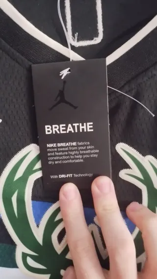 Camiseta Milwaukee Bucks Giannis #34 Negra Jordan