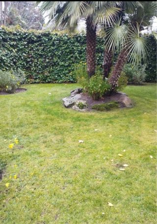 jardinero económico y mantenimiento 644052791