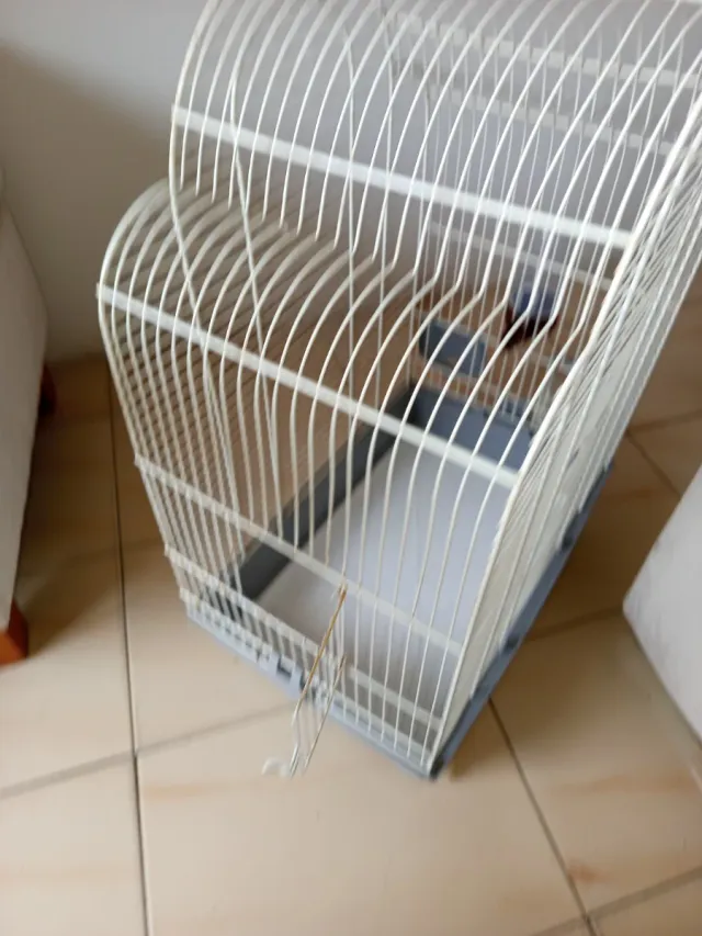 Jaula para pájaros blanca y gris