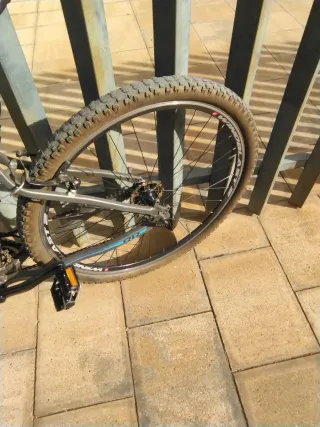 Bici MTB 29 pulgadas