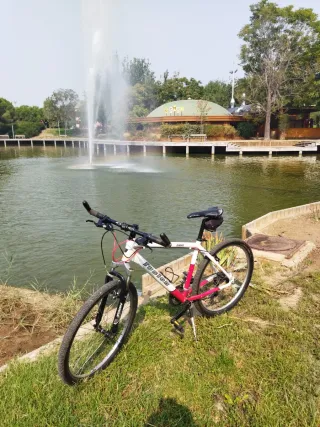 Bicicleta de montaña 26 pulgadas