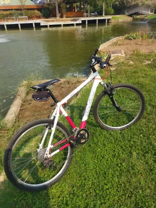 Bicicleta de montaña 26 pulgadas