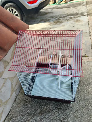 Jaula para pájaros blanca con techo rojo
