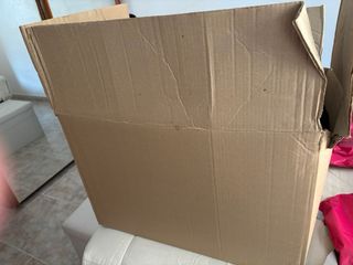 GRAN Lote de Ropa Variada