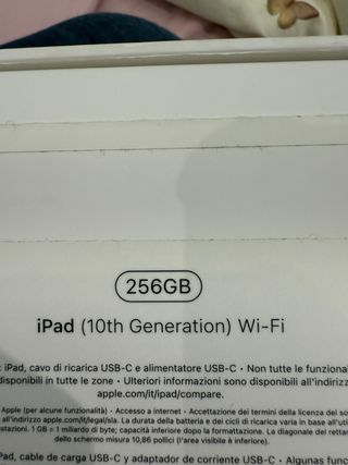 iPad 10ª Gen 256GB Wifi