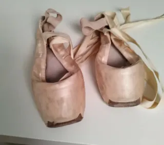 Zapatillas de ballet profesionales
