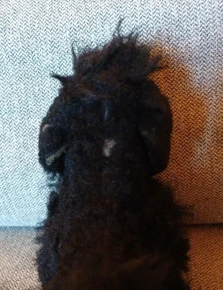 Steiff ?? Cane Barbincino vintage peluche 15 cm do