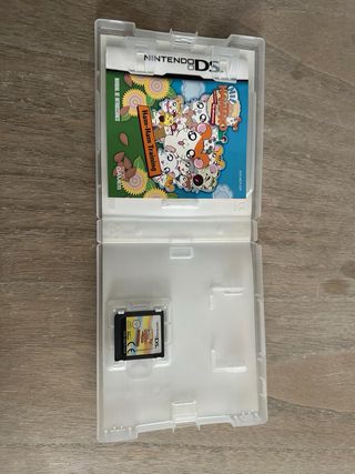 Hi Hamtaro Ham Ham Training Nintendo DS