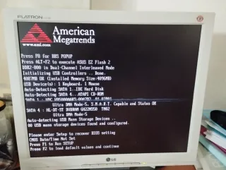 Monitor LG Flatron L1715S Blanco