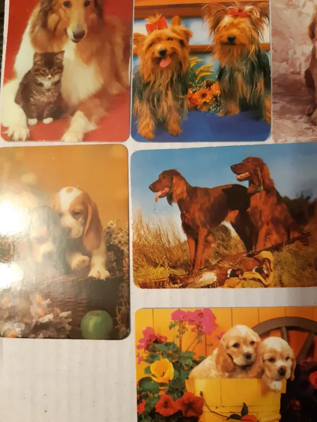 Calendario Bolsillo Animales Coleccionista