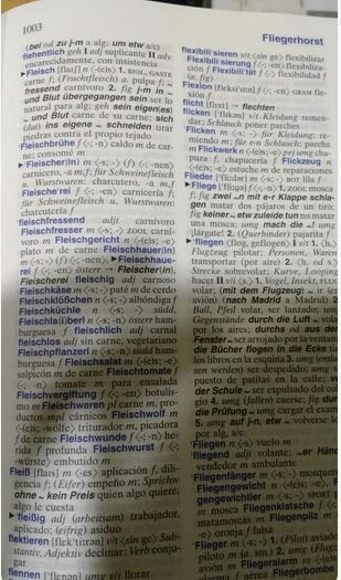 Diccionario Alemán Prácticamente Nuevo