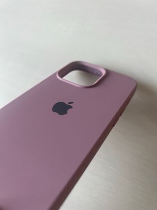 Funda iPhone 13 Pro Rosa