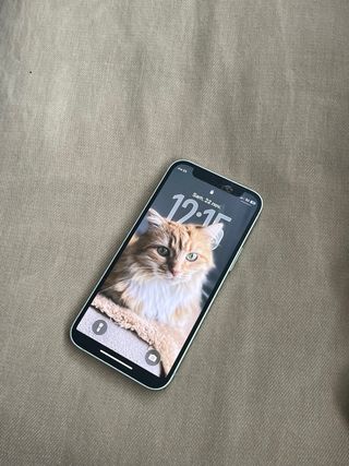 iPhone 12 mini verde