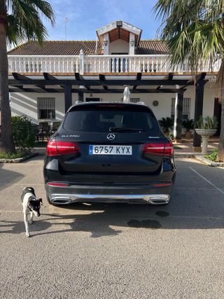 Mercedes-Benz GLC SUV (253) 2019