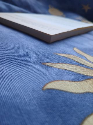 Libro la cara oculta de Miguel Primo de Rivera