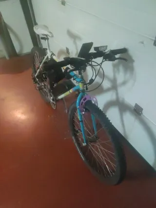 Bicicleta Eléctrica Casera