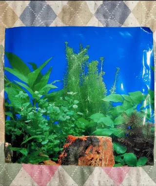 Sfondo Acquario Doppia Faccia - Nuovo