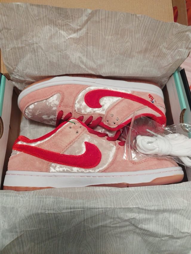 Nike SB Zapatillas Rosas y Rojas