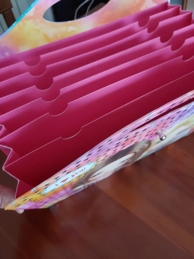 Carpeta Top Models tipo Viloín