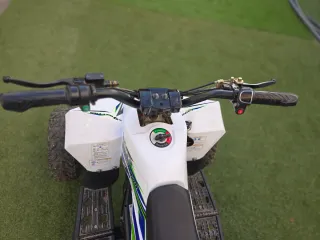 Quad IMR 1300W Eléctrico