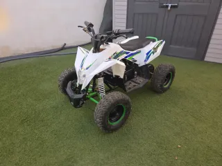 Quad IMR 1300W Eléctrico