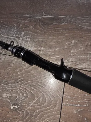 Caña de pescar Daiwa