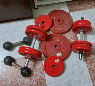 Juego Mancuernas y Pesas Salter Rojas