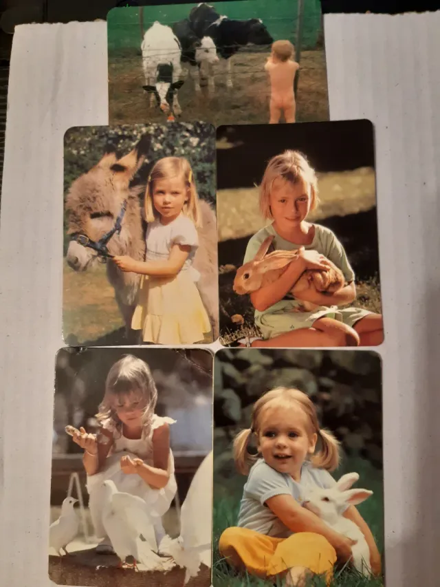 Calendarios de bolsillo coleccionistas