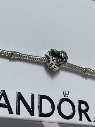 Charm Corazón Huella Perro Plata 925