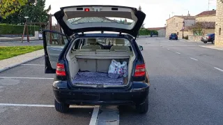 Mercedes-Benz Clase B 2009