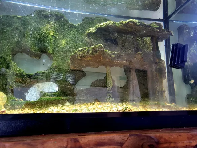 Acuario 120L con decoración