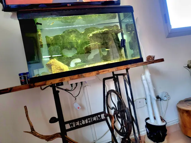 Acuario 120L con decoración