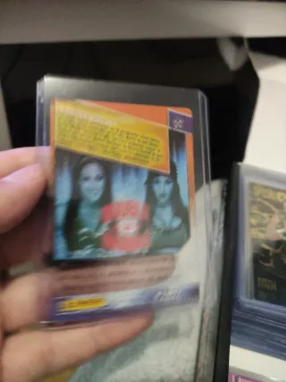 Carta WWE The Bella Twins