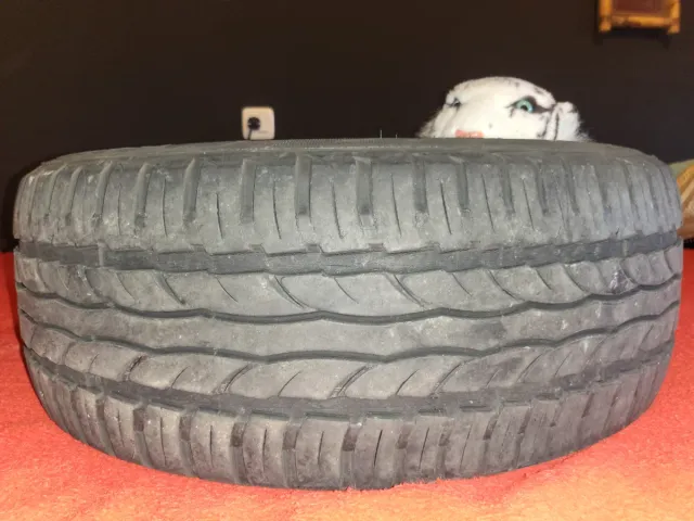 Neumáticos 185 55 15