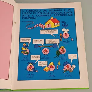 Sono fatto così. Alla scoperta del mio corpo merav